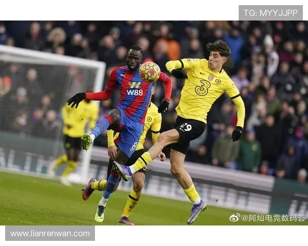 贝尔纳代斯基与乔纳森罗携手出战